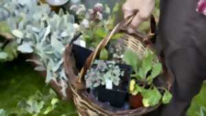 photo Vide-greniers et troc aux plantes à Latouille-Lentillac