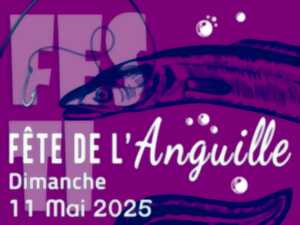 photo FÊTE DE L'ANGUILLE