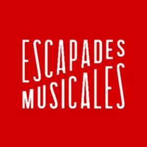 photo Escapades musicales : Perles de la Fondation Gautier Capuçon : Les Frères Ispir