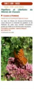 photo Sortie nature : Papillons et Libellules du Marais de Clussais