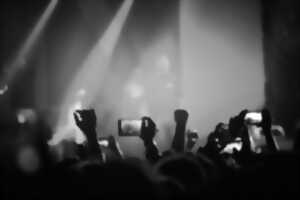 photo Concert : Dick Annegarn