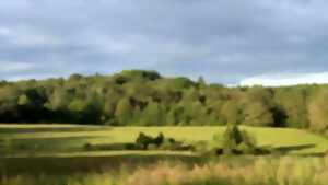 photo A la découverte des zones humides de la vallée de la Tardoire