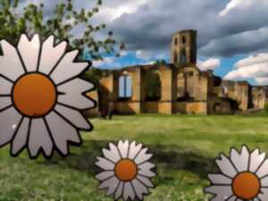 photo Floraison majeure