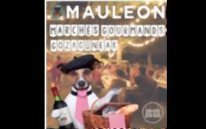 photo Marché gourmand