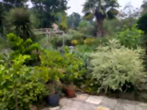 photo Rendez-vous aux jardins