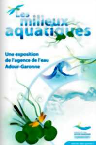 photo Exposition
