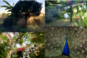 photo Vos pierres sont précieuses - Rendez-vous aux jardins