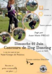 photo Concours de dog dancing