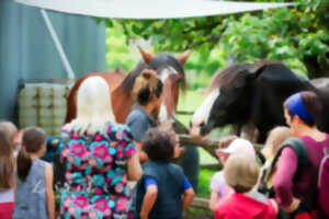 photo Récolte de lavande à Puy Jaillant Family Farm