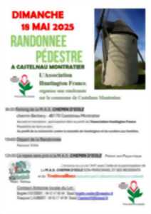 photo Randonnée pédestre à Castelnau-Montratier