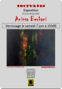 photo Exposition au Forum des Arts: Anissa Berkani