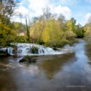 photo Sortie Nature : A la découverte des zones humides de la vallée du Blâme