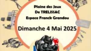 photo VIDE-GRENIERS à Trélissac