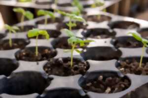 photo MARCHÉ DE PRODUCTEURS ET ÉCHANGES DE PLANTS