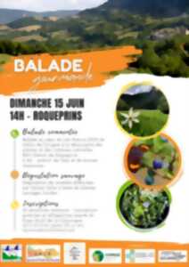 photo BALADE GOURMANDE
