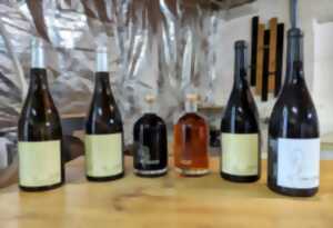 photo SOIREE OENOLOGIQUE AUTOUR DES VIEUX MILLESIMES APPELATION COLLIOURE