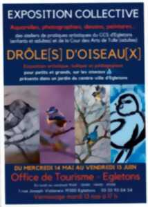 photo Exposition Drôles d'oiseaux