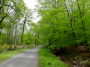 photo Marche le parcours du Coeur