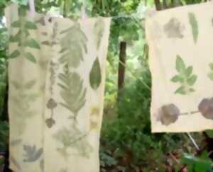 photo Les ateliers de la Ferme des Bleuets : Journée Plantes tinctoriales