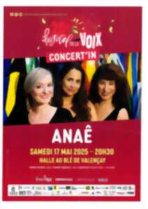 photo Festival de la Voix