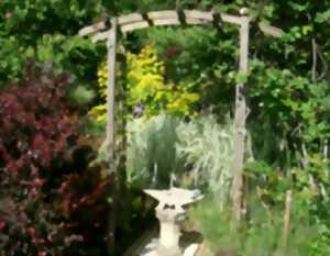 photo Rendez-vous aux jardins : Jardin de la Mule