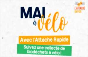 photo Mai à vélo - Suivez une collecte de biodéchets à vélo avec l'Attache Rapide !