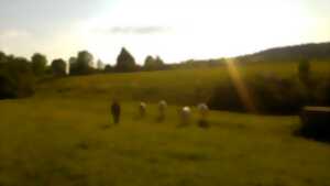 photo Spectacle - Tout nait pas fini