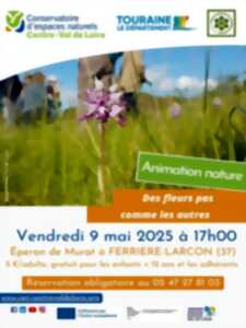 photo Des fleurs pas comme les autres