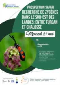 photo Recherche de zygènes dans le Sud-Est des Landes : entre Tursan et Chalosse