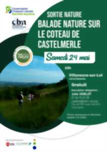 photo Balade nature sur le Coteau de Castelmerle