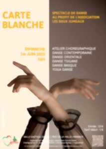 photo Spectacle de danse « Carte Blanche »