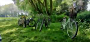 photo Jeu de piste à vélo dans le Marais poitevin