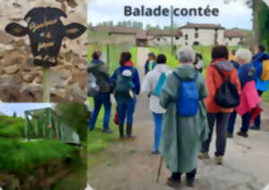 photo Balade Contée sur l'Île de Chaillac