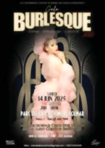 photo Gala danse burlesque