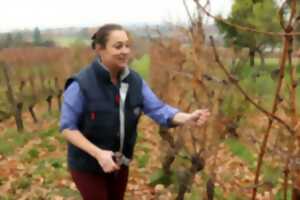photo Balades vigneronnes au domaine Bachert