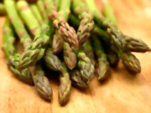 photo Déjeuner-conférence : Les asperges, les gènes, les arts