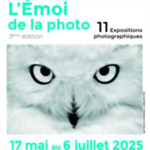 photo Vernissage expositions : L'émoi de la photo