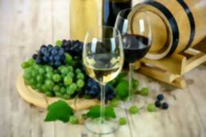 photo Grotte de Nichet : Dégustation de vins