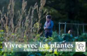 photo Cuisine sauvage et cultivée