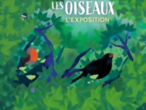 photo Exposition interactive : Observons les oiseaux