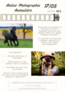 photo Atelier : photographie animalière