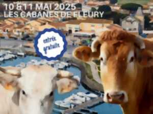 photo FOIRE AUX BEAUX VINS
