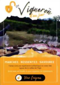 photo VIGNERON D'UN JOUR - VINO ENIGMA