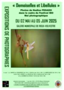 photo EXPOSITION DE PHOTOGRAPHIES :