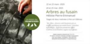 photo Atelier - Arbres au fusain