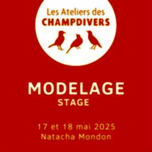 photo Stage Modelage