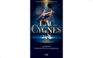 photo LE LAC DES CYGNES