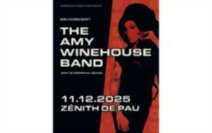 photo THE AMY WINEHOUSE BAND
