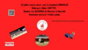 photo COURSE LANDAISE MIXTE