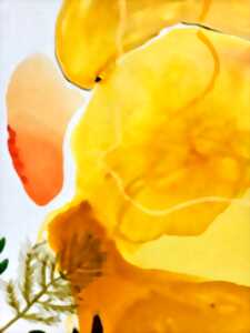 photo Stage d'expression artistique - la couleur